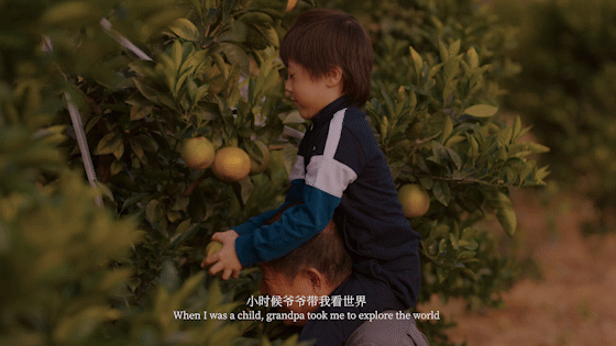 图片5.png 图片5.png