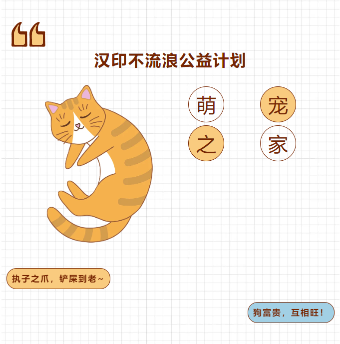 汉印不流离公益打算.png